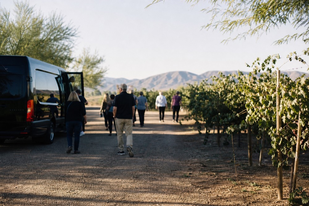 Passengers stepping down from a black tour van onto a shaded gravel drive lined with mature grapevines