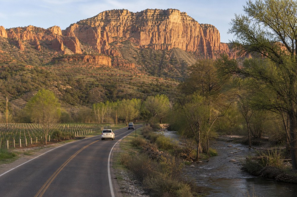A narrow two-lane road following a creek past cottonwood trees and vineyard rows on a Verde Valley morning
