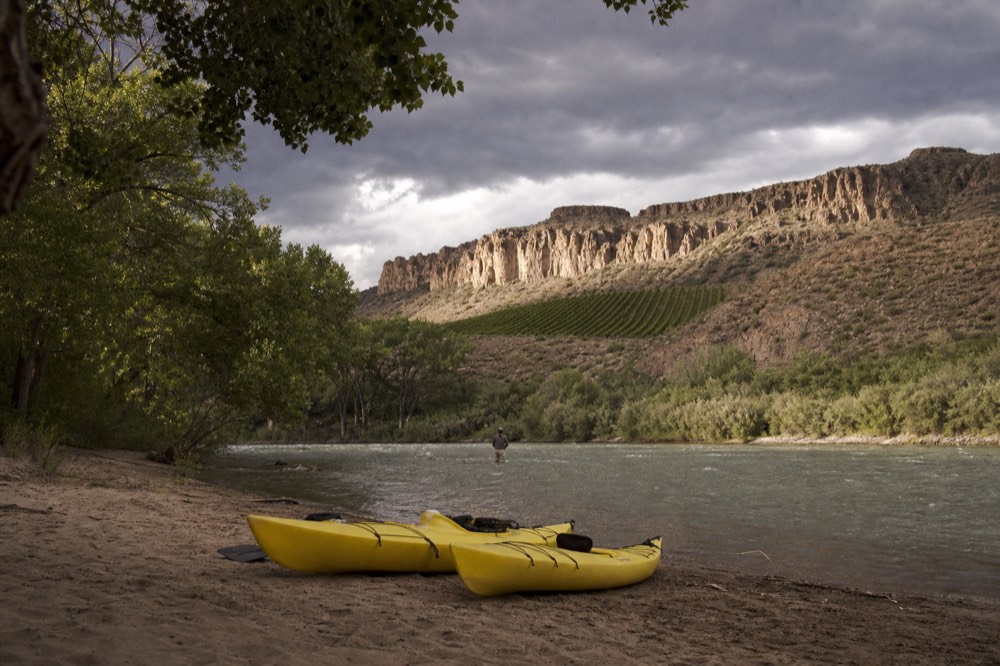 Two yellow kayaks pulled up on a sandy river beach beside cottonwood trees with a vineyard slope rising behind