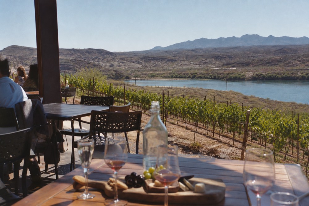 A shaded outdoor tasting terrace with wooden tables, wine glasses catching afternoon light, and vine rows dropping away toward a river