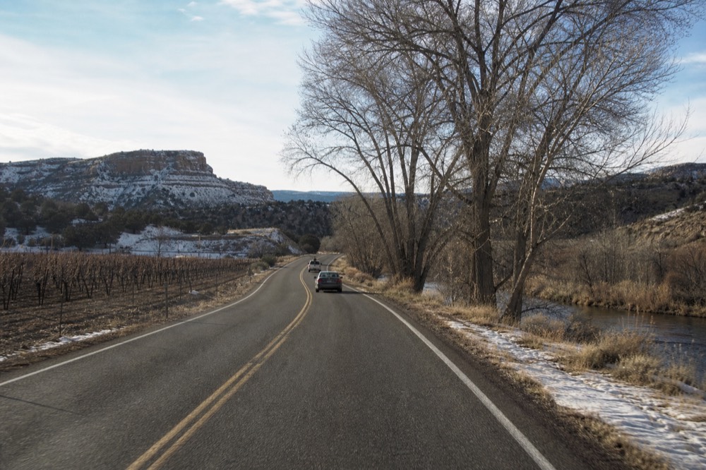A narrow two-lane road running between a vineyard block and a creek lined with tall cottonwood trees in a desert valley