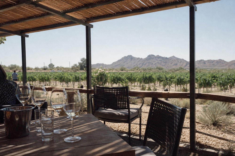 Wooden tasting terrace under a shade canopy with glasses on a table and green vineyard rows behind
